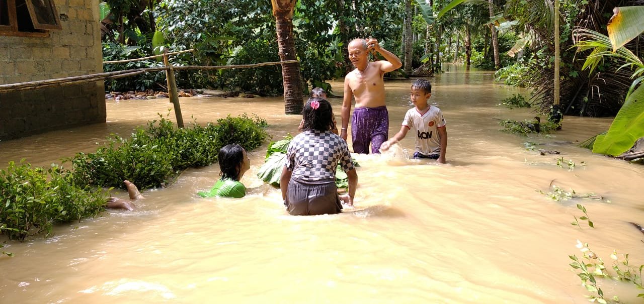 Sungai Bogowonto Perlu Dinormalisasi, Atasi Langganan Banjir Wilayah Bageleb