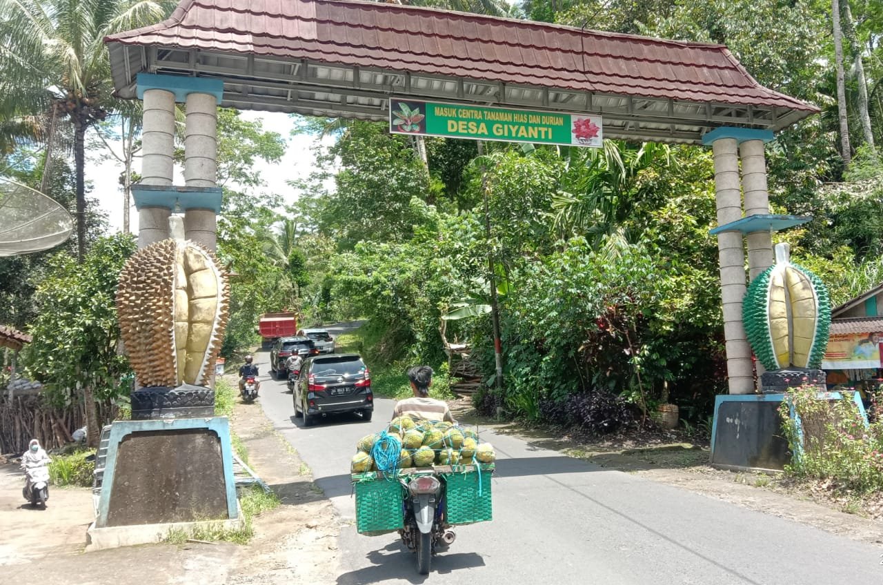 SENTRA DURIAN. Gapura Desa Giyanti sebagai Desa Sentra Buah Durian, pada awal tahun ini mulai banyak pedagang Durian bermunculan diwilayah tersebut.