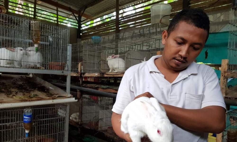 TUNJUKKAN: Habib saat menunjukkan salah satu indukan kelinci di kandang ternak miliknya. (Foto: IST)