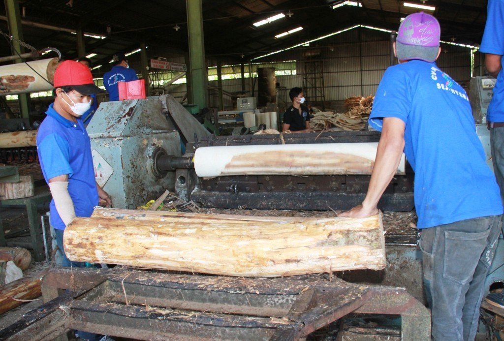 Sejumlah pekerja di salah satu perusahaan kayu lapis sedang beraktivitas. (foto:setyo wuwuh/temanggung ekspres)