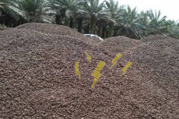Cangkang Sawit untuk biomasa disway.id dahlan iskan