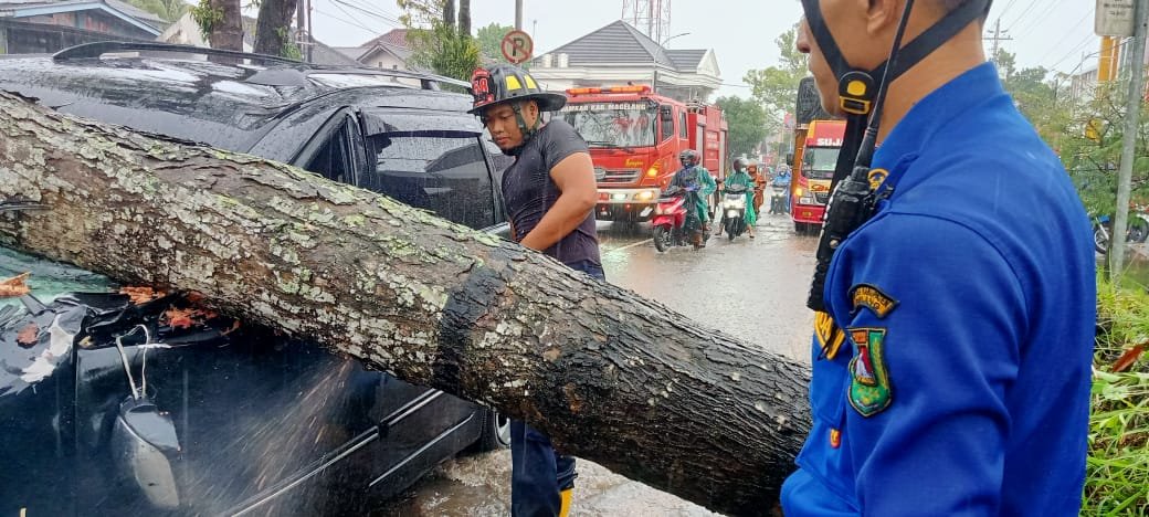 EVAKUASI. Petugas Damkar Kabupaten Magelang dalam proses evakuasi pohon tumbang menimpa kendaraan.