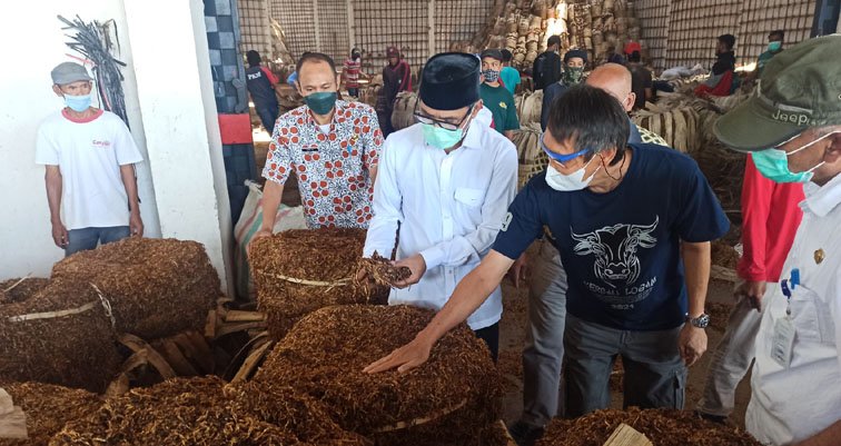 Pemkab Temanggung Bakal Kunjungi Pabrikan untuk Pastikan Pembelian Tembakau Petani
