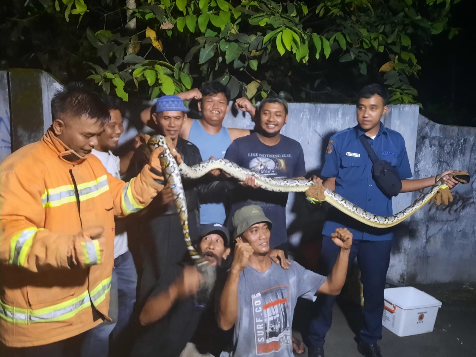 EVAKUASI. Warga bersama dengan petugas Damkar usai berhasil mengevakuasi ular besar di Kampung Plaosan. (Foto lukman)