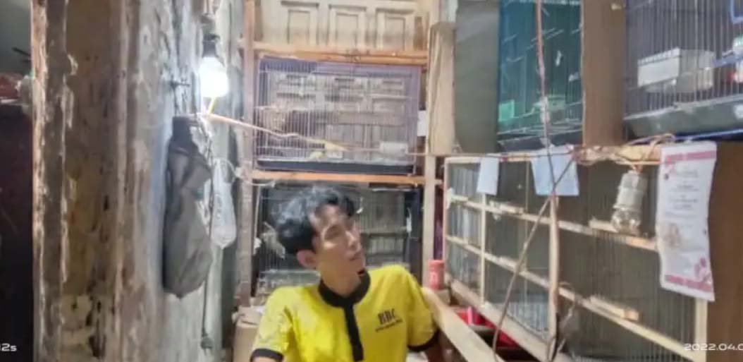 Pemuda disabilitas ini sukses ternak burung kenari dan meraup omset jutaan rupiah per bulannya. Foto Radar Banten