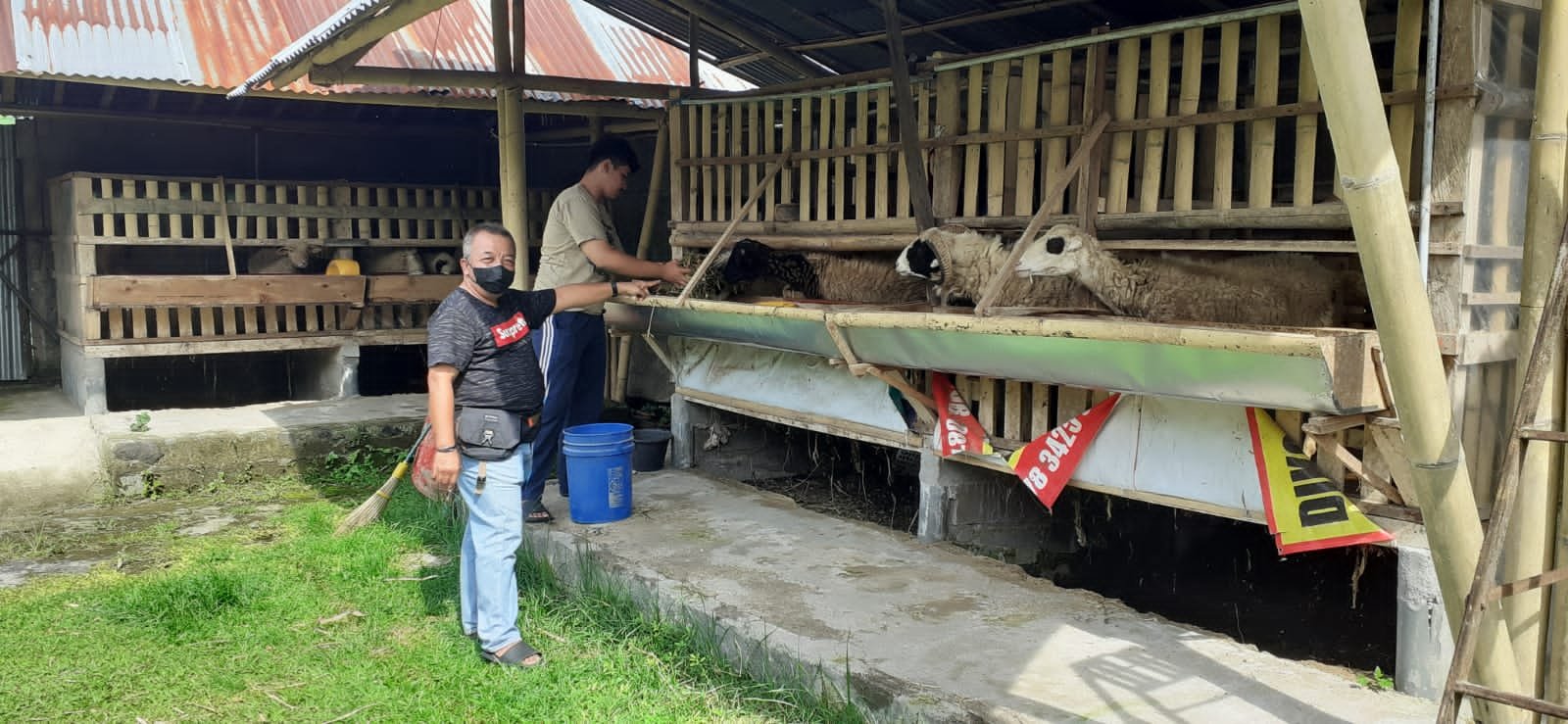 Anggota Komisi II DPRD Kabupaten Magelang, Gunawan Sugiarno menunjukkan kandang kambing yang bersih dan sehat di Desa Seloboro, Salam, Kamis (26-5-2022)