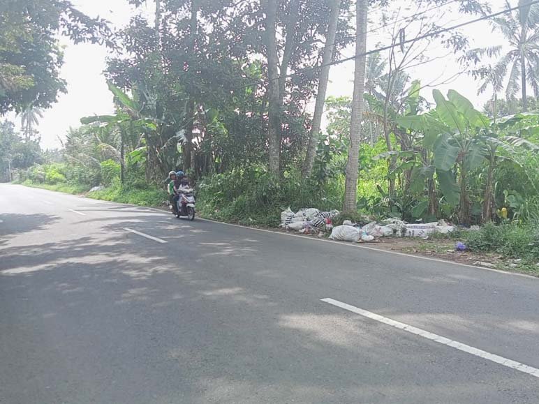 SAMPAH. Salah satu titip lokasi pembuangan sampah ilegal oleh orang yang tidak bertanggungjawab di sekitar pintu masuk TPA Kabupaten Magelang di Desa Pasuruan Mertoyudan Magelang.