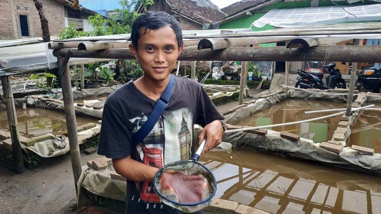 KUTU AIR. Habib Anwar menunjukan kutu air siap panen dari kolamnya di Desa Tampir Kulon Candimulyo Magelang.