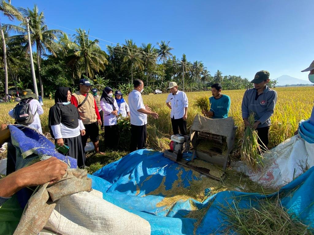 PANEN PADI. Kepala DPPKP Kabupaten Purworejo meninjau para petani yang sedang melakukan panen padi di Desa Tanjung Kecamatan Ngombol, kemarin. (foto: eko sutopo/purworejo ekspres)