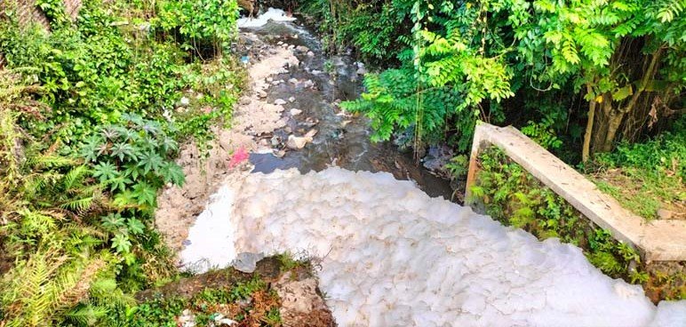 Perlu Segera Ditangani, Dampak Pencemaran Air Sungai Gandekan Makin Meluas
