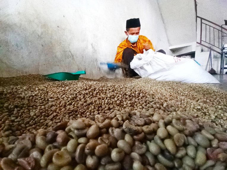 KEMAS.Salah satu petani kopi di kecamatan Gemawang sedang mengemas kopi. (Foto:Setyo wuwuh/temanggung ekspres)